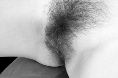 Hairy Places - N