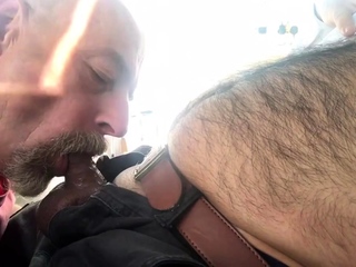 Dad sucking hairy cub