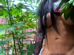 shemale-tranny-enjoying-solo-masturbation